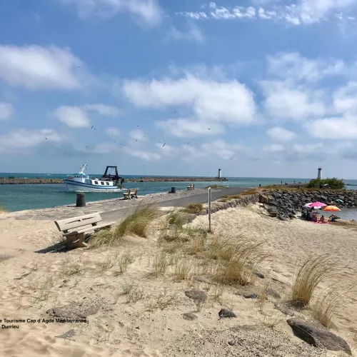 Plage la tama