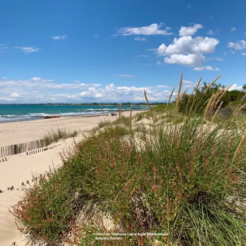 plage la tama
